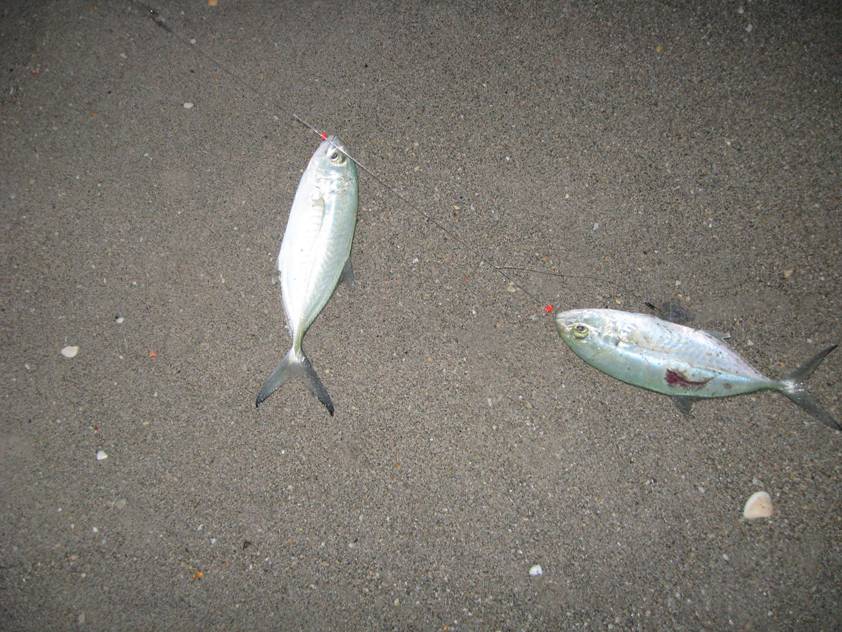 image006.jpg