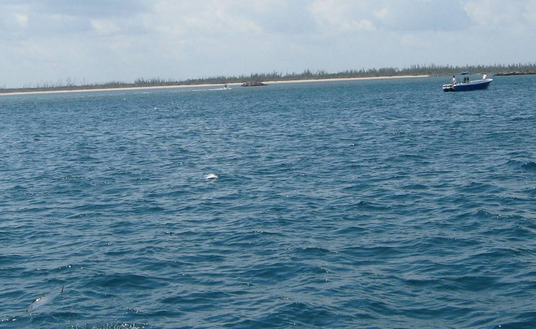 image037.jpg