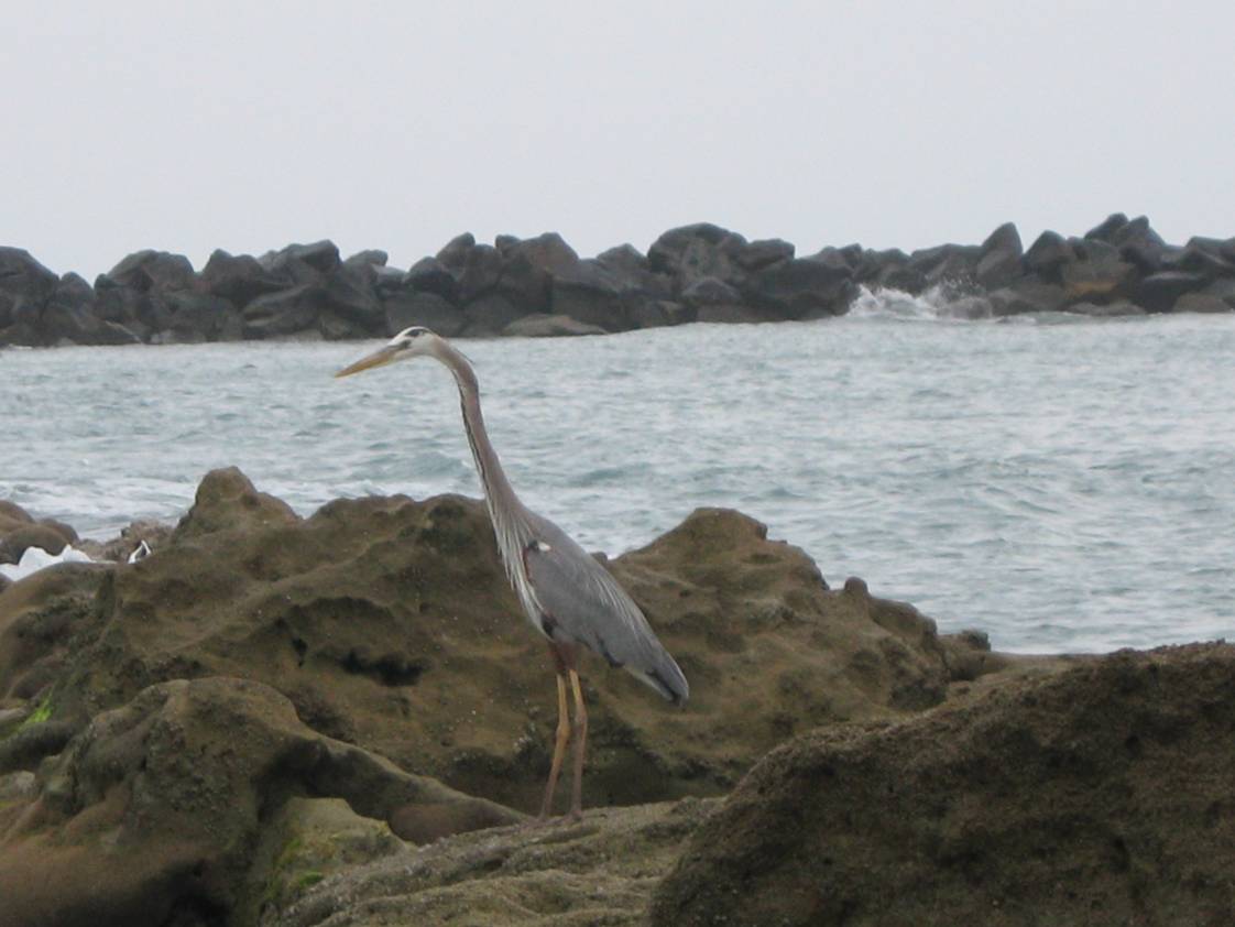 image040.jpg